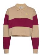 Adidas Originals Class Of 72 Crop Crew Sweatshirt Sport Sweatshirts & ...