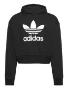 Cropped Hoodie Sport Sweatshirts & Hoodies Hoodies Black Adidas Origin...