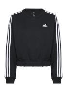 Essentials 3-Stripes Crop Sweatshirt Sport Sweatshirts & Hoodies Sweat...