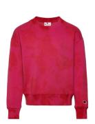 Crewneck Sweatshirt Sport Sweatshirts & Hoodies Sweatshirts Red Champi...