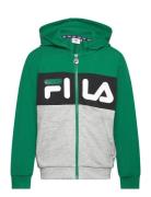Baar-Ebenhausen Sport Sweatshirts & Hoodies Hoodies Green FILA