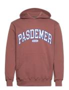 Pasdemer Design Hoody Designers Sweatshirts & Hoodies Hoodies Brown Pa...