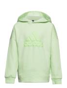 U Fi Logo Hd Sport Sweatshirts & Hoodies Hoodies Green Adidas Performa...