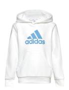 Big Logo Essentials Cotton Hoodie Sport Sweatshirts & Hoodies Hoodies ...