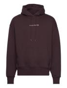 Elevin Hoodie Designers Sweatshirts & Hoodies Hoodies Brown Daily Pape...