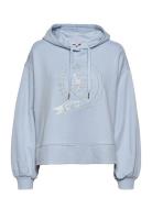 Icon Relaxed Icon Hoody Tops Sweatshirts & Hoodies Hoodies Blue Tommy ...