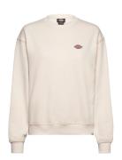 Millersburg Sweatshirt W Tops Sweatshirts & Hoodies Sweatshirts Cream ...