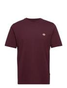 Ss Mapleton Tee Designers T-Kortærmet Skjorte Burgundy Dickies