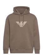 Sweatshirt Designers Sweatshirts & Hoodies Hoodies Brown Emporio Arman...