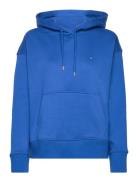 D1. Icon G Essential Hoodie Tops Sweatshirts & Hoodies Hoodies Blue GA...