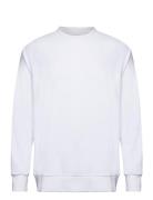 Sweatshirt Terry Tops Sweatshirts & Hoodies Sweatshirts White Lindberg...