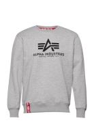 Basic Sweater Designers Sweatshirts & Hoodies Sweatshirts Grey Alpha I...