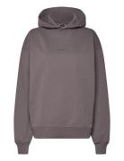 W. Paradise Oslo Hoodie Tops Sweatshirts & Hoodies Hoodies Grey HOLZWE...