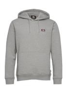 Oakport Hoodie Designers Sweatshirts & Hoodies Hoodies Grey Dickies