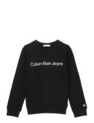 Inst. Logo Regular Cn Tops Sweatshirts & Hoodies Sweatshirts Black Cal...