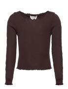 Silk T-Shirt Tops T-shirts Long-sleeved T-Skjorte Brown Rosemunde Kids