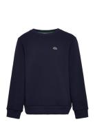 Sweatshirts Sport Sweatshirts & Hoodies Sweatshirts Navy Lacoste