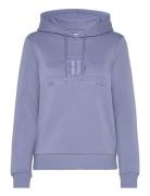 Tonal Archive Shield Hoodie Tops Sweatshirts & Hoodies Hoodies Blue GA...