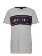Tb. Gant Archive Ss T-Shirt Tops T-Kortærmet Skjorte Grey GANT