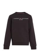 Essential Sweatshirt Tops Sweatshirts & Hoodies Sweatshirts Black Tomm...