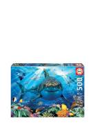Educa 500 Great White Shark Toys Puzzles And Games Puzzles Classic Puz...