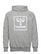 Hmlisam 2.0 Hoodie Sport Sweatshirts & Hoodies Hoodies Grey Hummel
