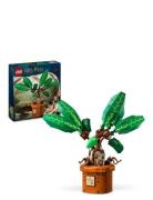 Mandrake 76433 Toys Lego Toys Lego harry Potter Multi/patterned LEGO