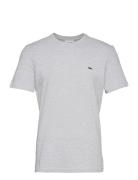 Tee-Shirt&Turtle Neck Tops T-Kortærmet Skjorte Grey Lacoste