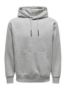 Onsceres Hoodie Sweat Noos Tops Sweatshirts & Hoodies Hoodies Grey ONL...