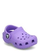 Classic Clog T Shoes Clogs Purple Crocs