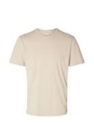 Slhaspen Mini Str Ss O-Neck Tee Tops T-Kortærmet Skjorte Cream Selecte...