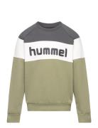 Hmlclaes Sweatshirt Sport Sweatshirts & Hoodies Sweatshirts Green Humm...