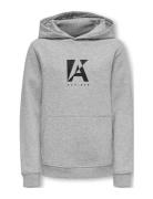 Kobnorman L/S Project Hoodie Swt Tops Sweatshirts & Hoodies Hoodies Gr...