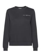 Reg Printed Graphic C-Neck Tops Sweatshirts & Hoodies Sweatshirts Blac...
