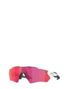 Radar Ev Xs Path Accessories Sunglasses D-frame- Wayfarer Sunglasses W...