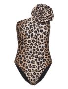 Carriecras Swimsuit Badedragt Badetøj Brown Cras