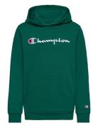 Hooded Sweatshirt Sport Sweatshirts & Hoodies Hoodies Green Champion