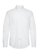 Eddie Pique Shirt - Slim Fit Designers Shirts Casual White Morris