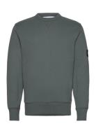 Badge Crew Neck Tops Sweatshirts & Hoodies Sweatshirts Grey Calvin Kle...