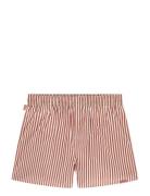 Terracotta Striped Underwear Boxer Shorts Red Pockies