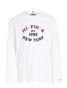 Monotype Flock Regular Tee Ls Tops T-shirts Long-sleeved T-Skjorte Whi...