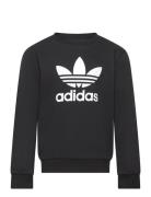 Trefoil Crew Tops Sweatshirts & Hoodies Sweatshirts Black Adidas Origi...