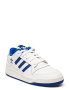 Forum Low Cl C Low-top Sneakers White Adidas Originals