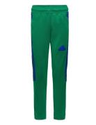 J Np Tiro Pant Bottoms Sweatpants Green Adidas Sportswear