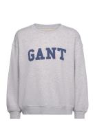 Graphic C-Neck Sweat Tops Sweatshirts & Hoodies Sweatshirts Grey GANT