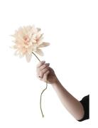 Paper Flower, Grand Dahlia Home Decoration Paper Flowers Beige Studio ...