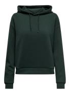 Onplounge Ls Hood Sweat - Noos Sport Sweatshirts & Hoodies Hoodies Gre...