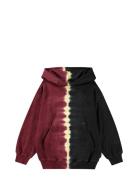 Maxx Tops Sweatshirts & Hoodies Hoodies Multi/patterned Molo