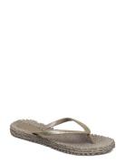 Flip Flop With Glitter Shoes Summer Shoes Sandals Flip Flops Grey Ilse...