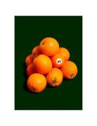 Odd Orange Out Home Decoration Posters & Frames Posters Botanical Mult...